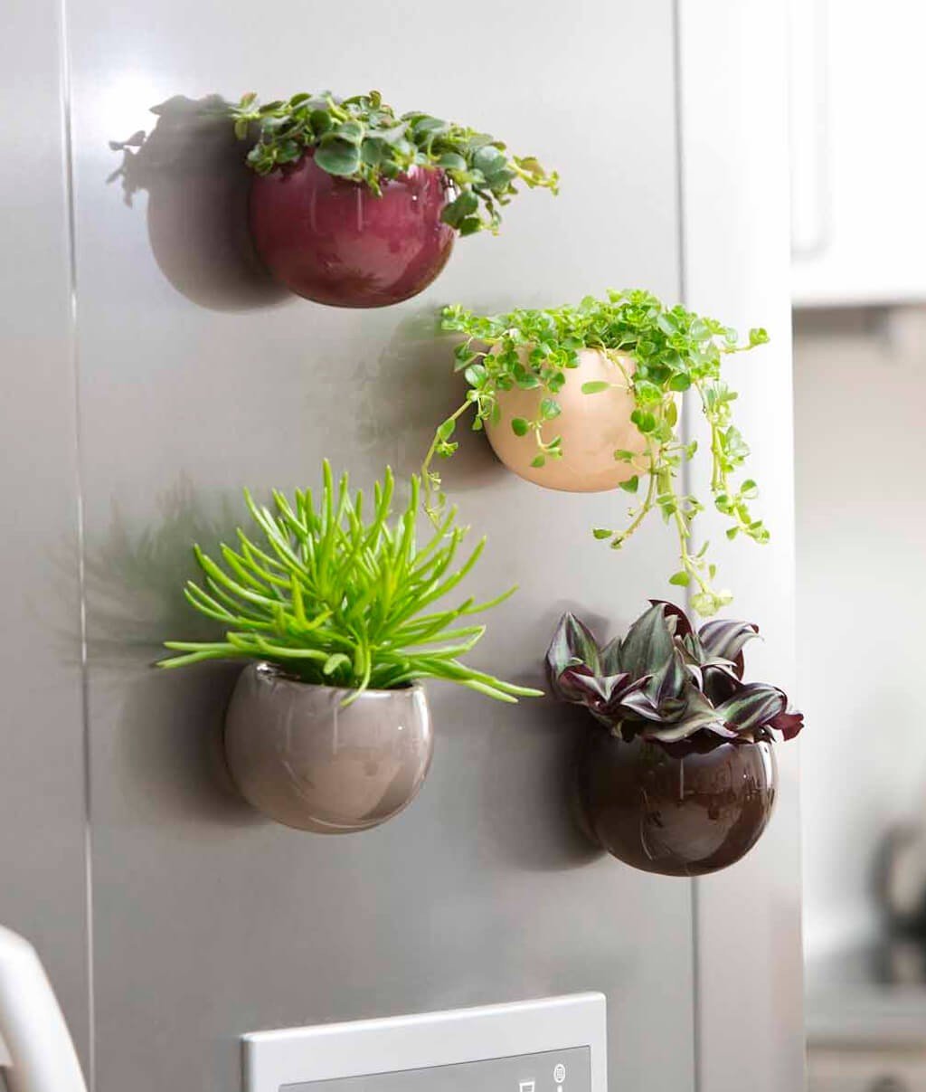 Ímãs Personalizados Plantas