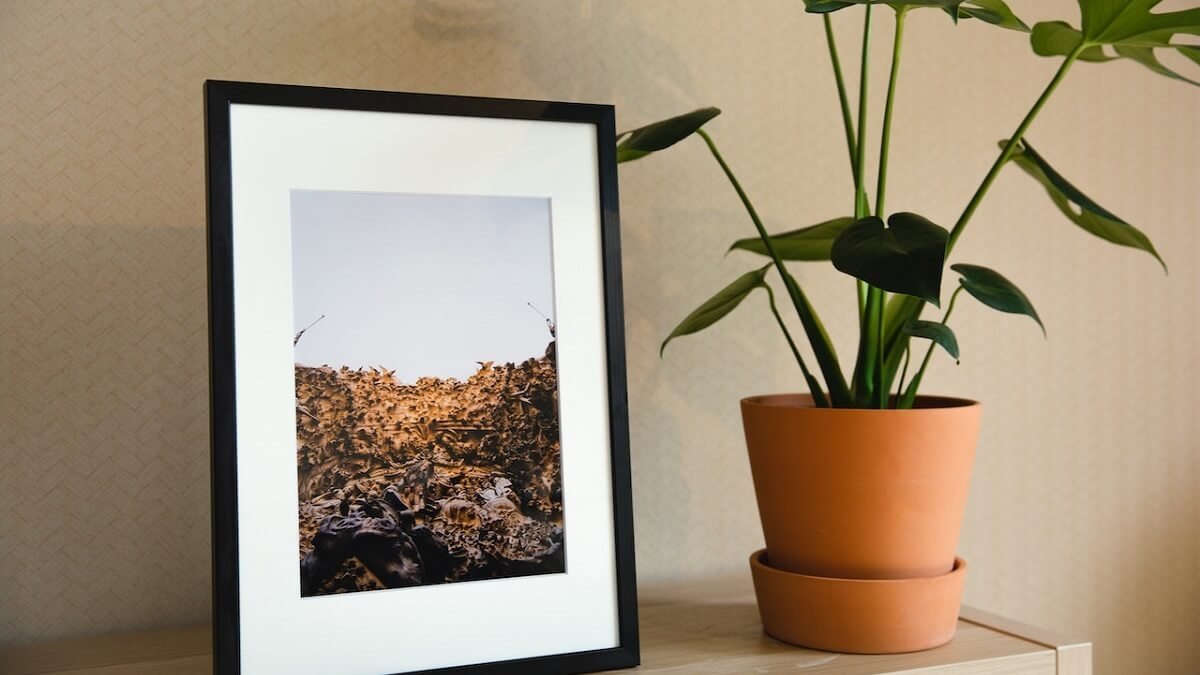 Quadro de fotos com paisagem sobre uma estante