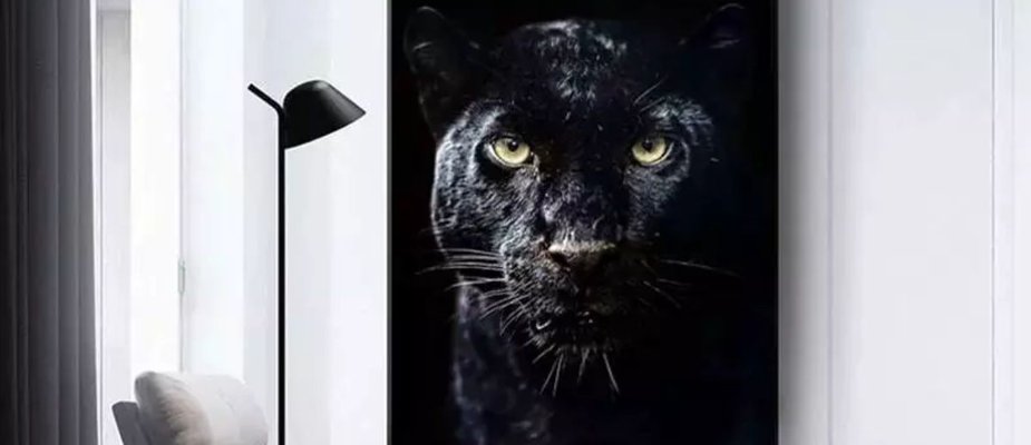 Quadro de Pantera Negra: significados e simbologia
