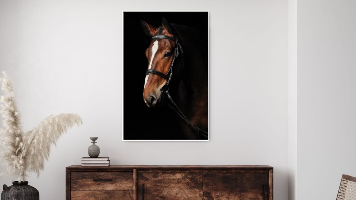 quadro cavalo