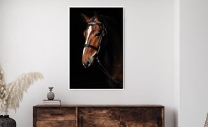 quadro cavalo
