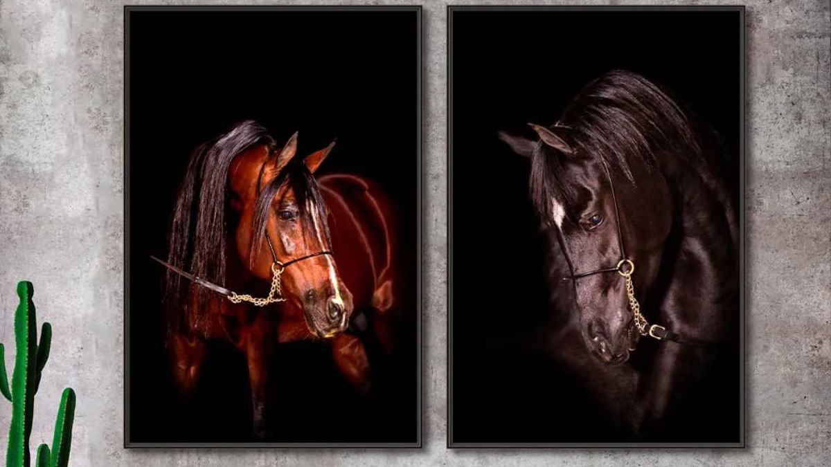 quadros de cavalos