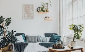 plantas para sala