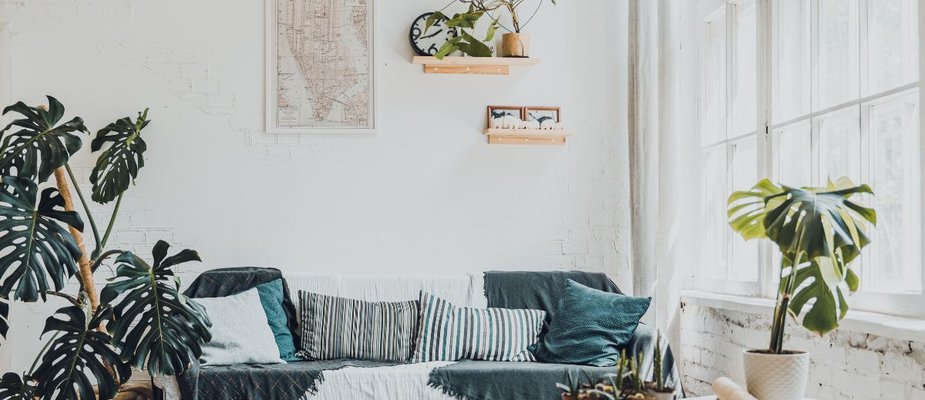 Plantas para sala: Melhores plantas, Porque usar e Como escolher vaso ideal!