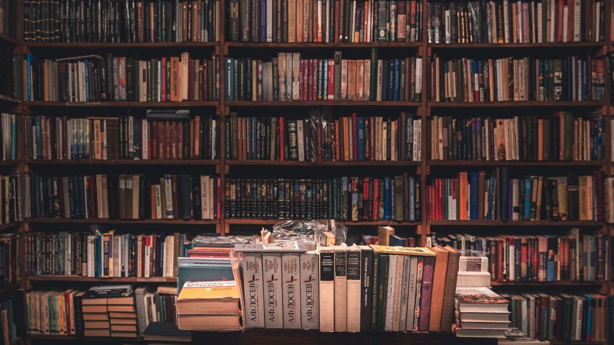 escolher a estante ideal para sua biblioteca